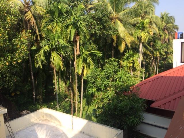Greenview Homestay Kochi Exterior foto